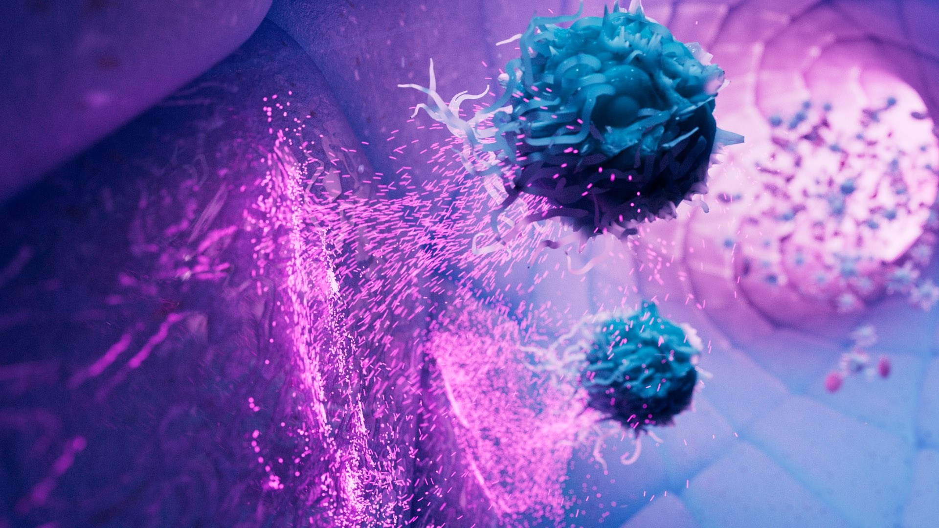 3d animation of T-cells damaging blood vessel with pink particles.jpg